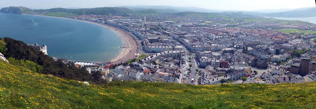 Great Orme, view over Llandudno Bay by muba