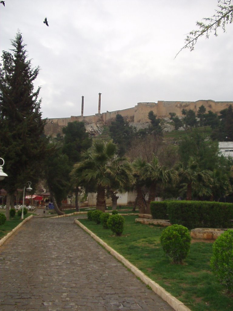 Şanlıurfa, Şanlıurfa Merkez/Şanlıurfa Province, Turkey by salty68