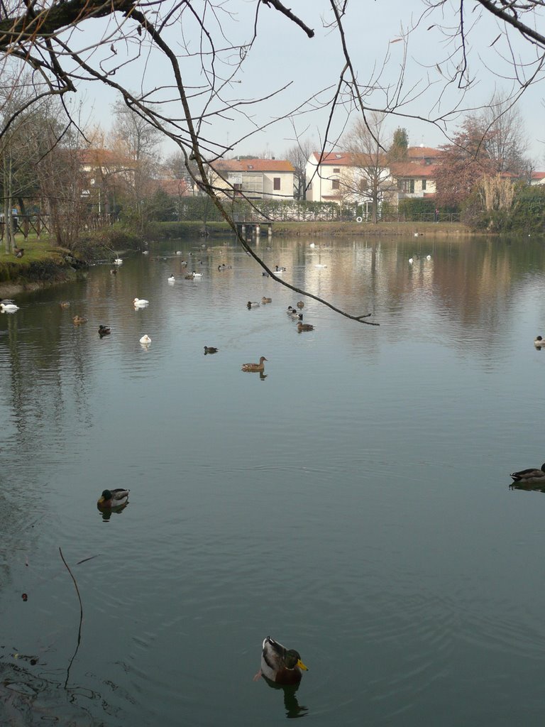 Agliana, Parco Pertini by Aldo Ferretto