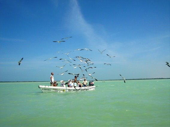 Gaviotas over the wonderful Rio Lagartos by asciltus