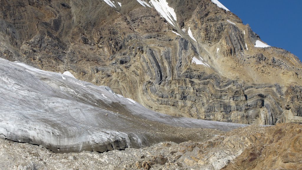 Folded & thrusted rock layers along Iceline trail by phil h