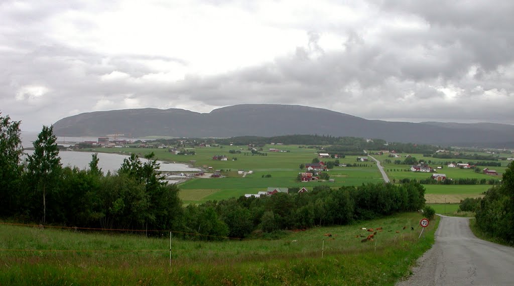 Kvithylla og Fosen Mekaniske ( Juni 2002 ) by H.Jelstad