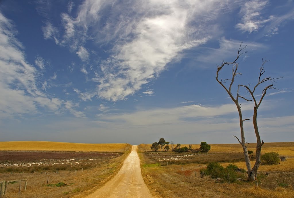 Randell Road, Hindmarsh Island, 31 January 2009 by ilmar v