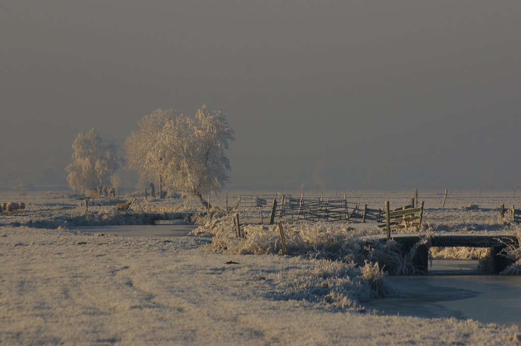 Landscape near Groot-Ammers by Peter van Lith