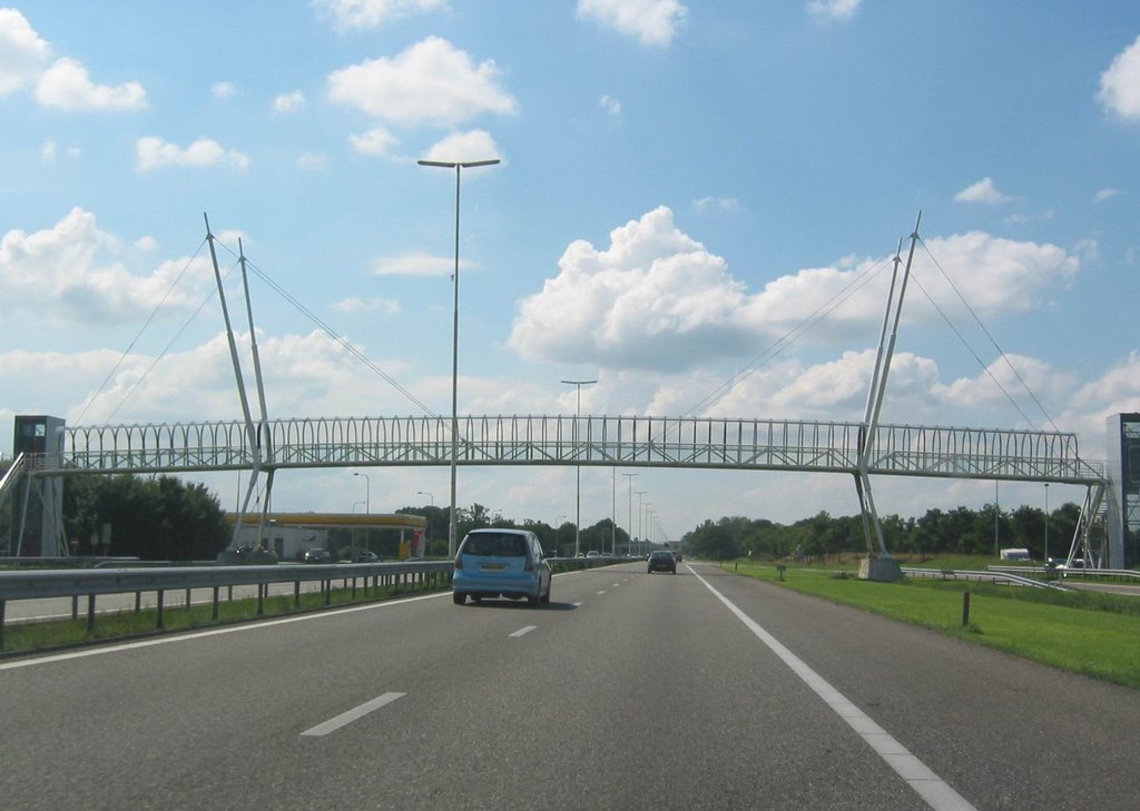 Veenendaal A12 Restaurantbrug, a cable stayed steelbridge with architectural pylons for pedestrians, looking West by Henq