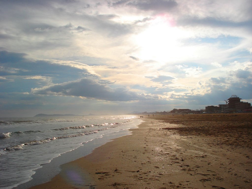 Rimini, Province of Rimini, Italy by Svetlana Baklitskaya