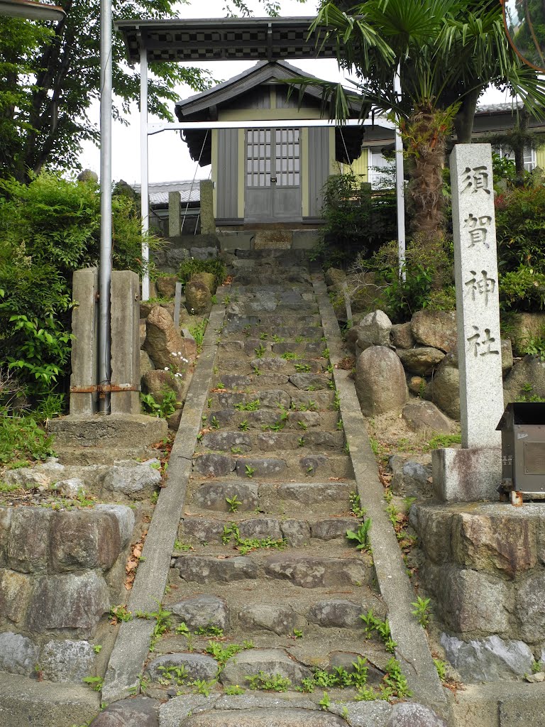 須賀神社 by santa_dx