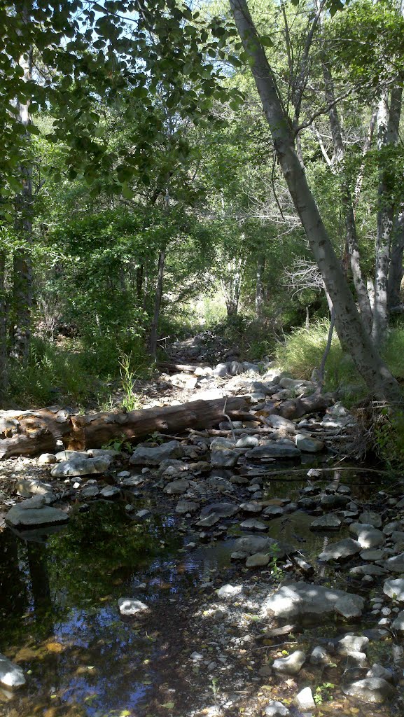 Silverado Canyon by S. Riggins