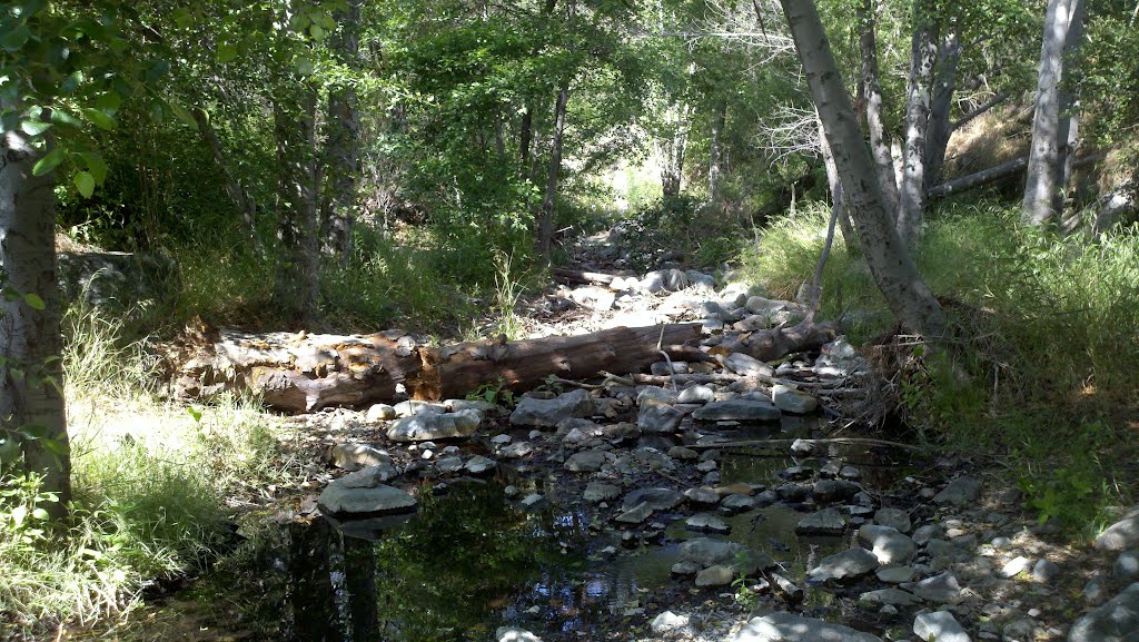 Silverado Canyon by S. Riggins