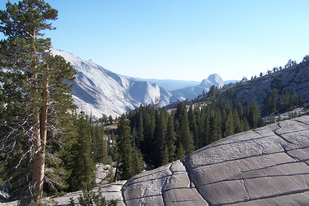 Yosemite National Park by Michał Szmyt