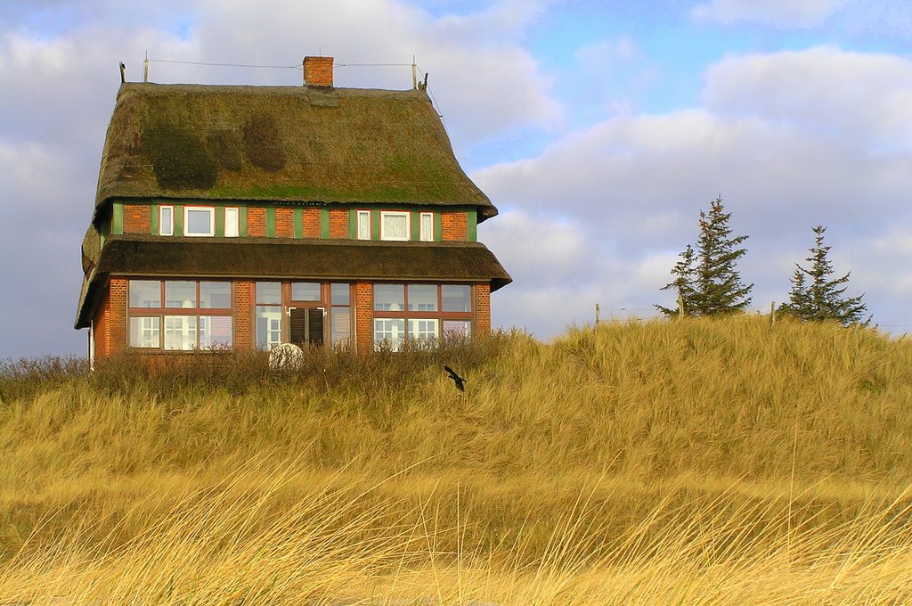 Inselhaus am Strand von Wittdün, Amrum by Georg Homburg