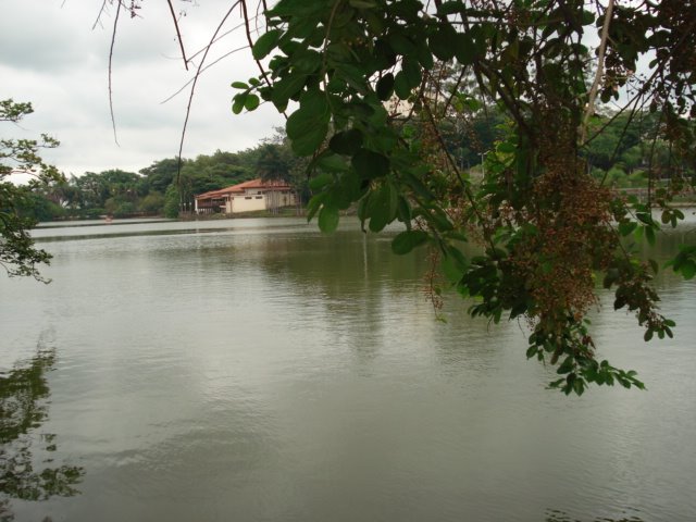 Bonito Lago Municipal na região central de Araras-SP by LPSLPS