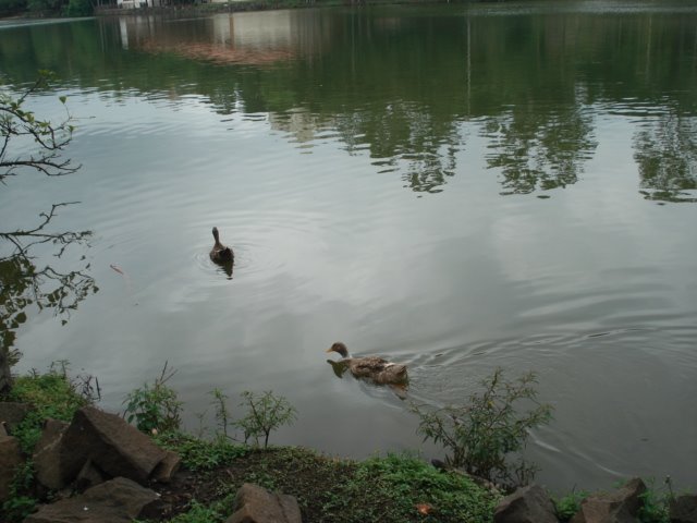 Bonito Lago Municipal na região central de Araras-SP by LPSLPS