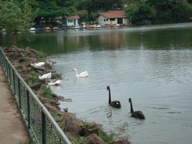 Bonito Lago Municipal na região central de Araras-SP by LPSLPS