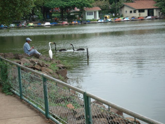 Bonito Lago Municipal na região central de Araras-SP by LPSLPS