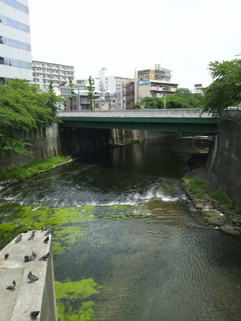 神田川　高戸橋 by mthr110