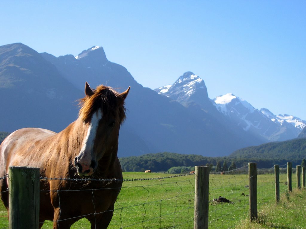 Road to Paradise, Glenorchy, New Zealand by teamrocket4