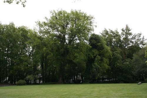 Parque Aquilino Ribeiro by Miguel Rosa