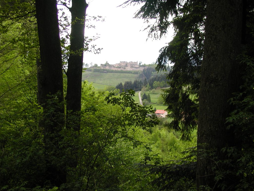 Blick zur Burg by H.Blum