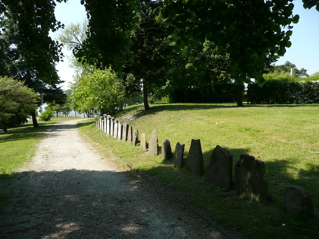 Wągrowiec - the place of the former Jewish cemetery / XIX / - lapidary by GiselaJ