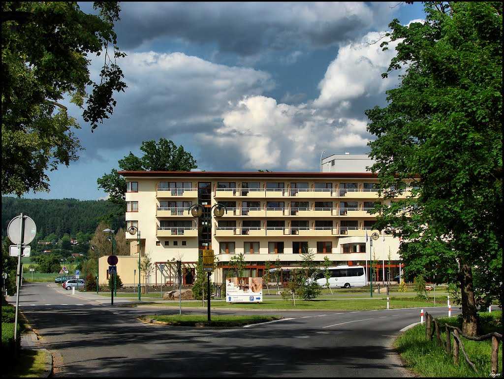 Hotel Strom života (L) by járynHATATYTLO.cz