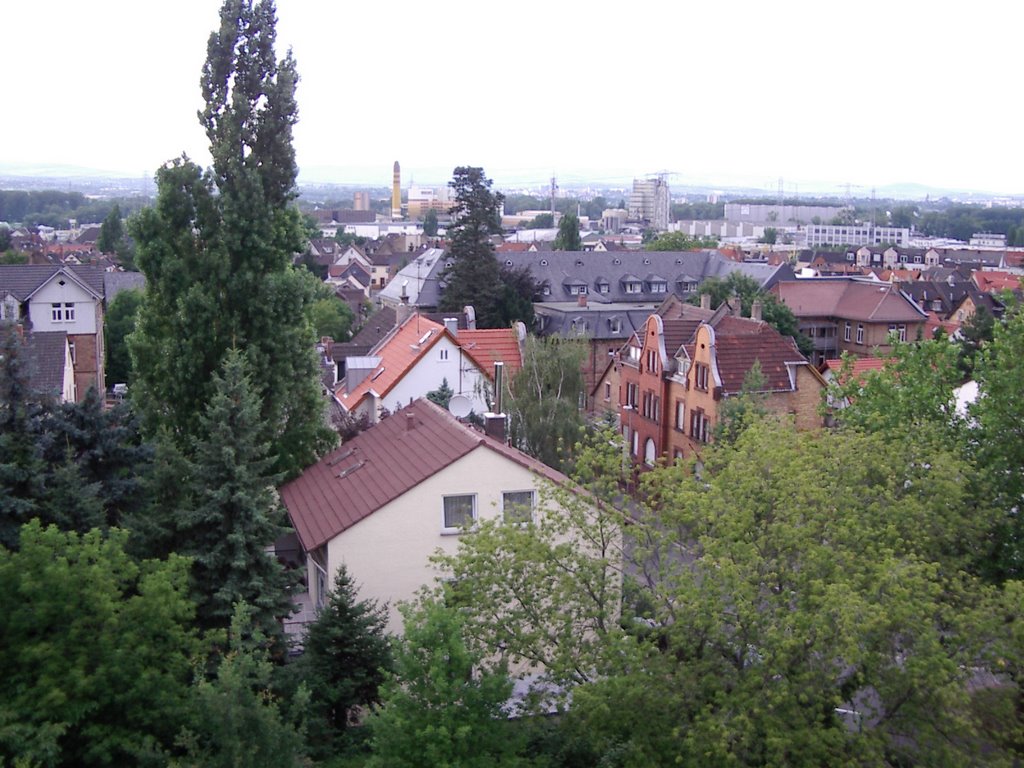 View over Mombach, Mainz, Germany by cato234