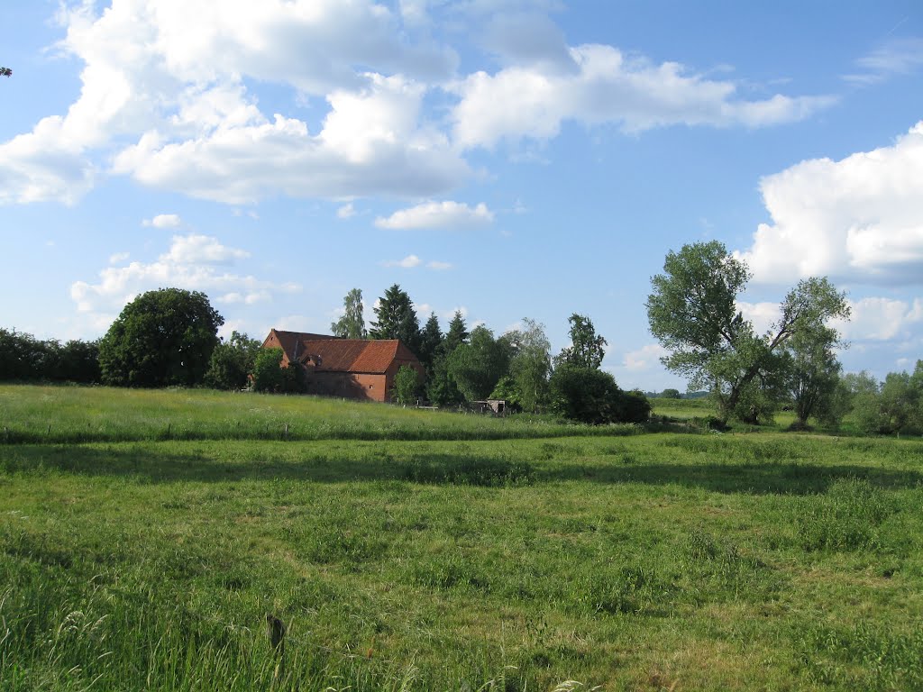 Am Köllendiekenweg, Thedinghausen-Morsum by yosef79