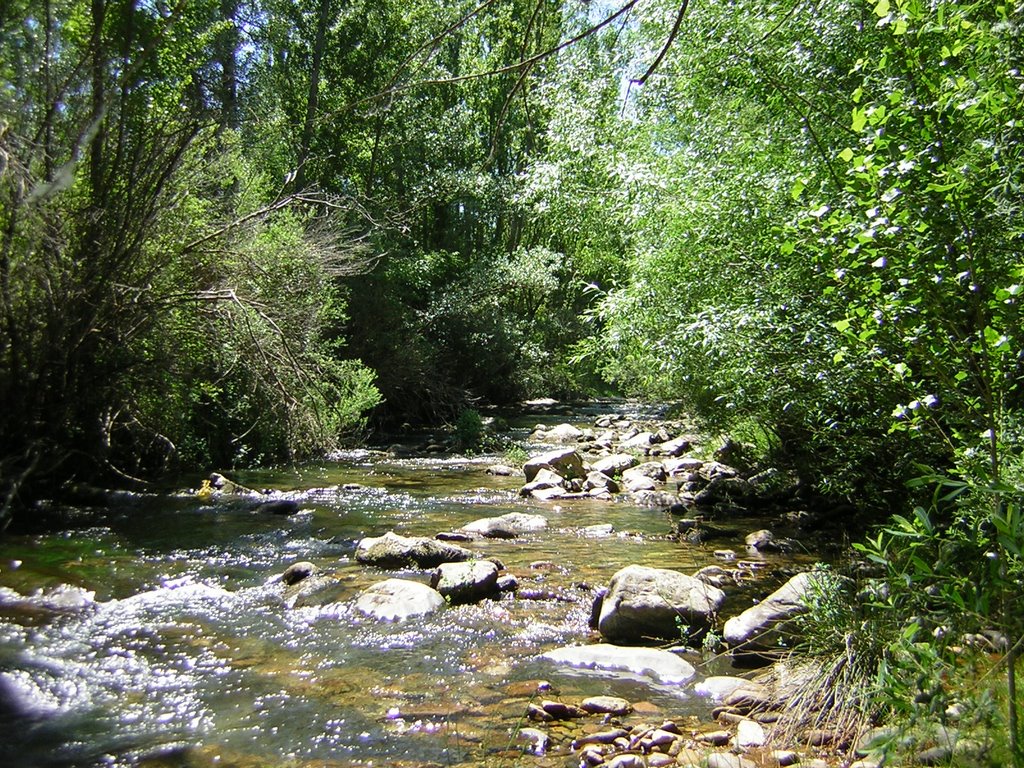 El Rio Cidacos by fpal