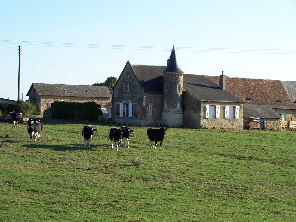 Ferme près de la Départementale 859 by FGuertin