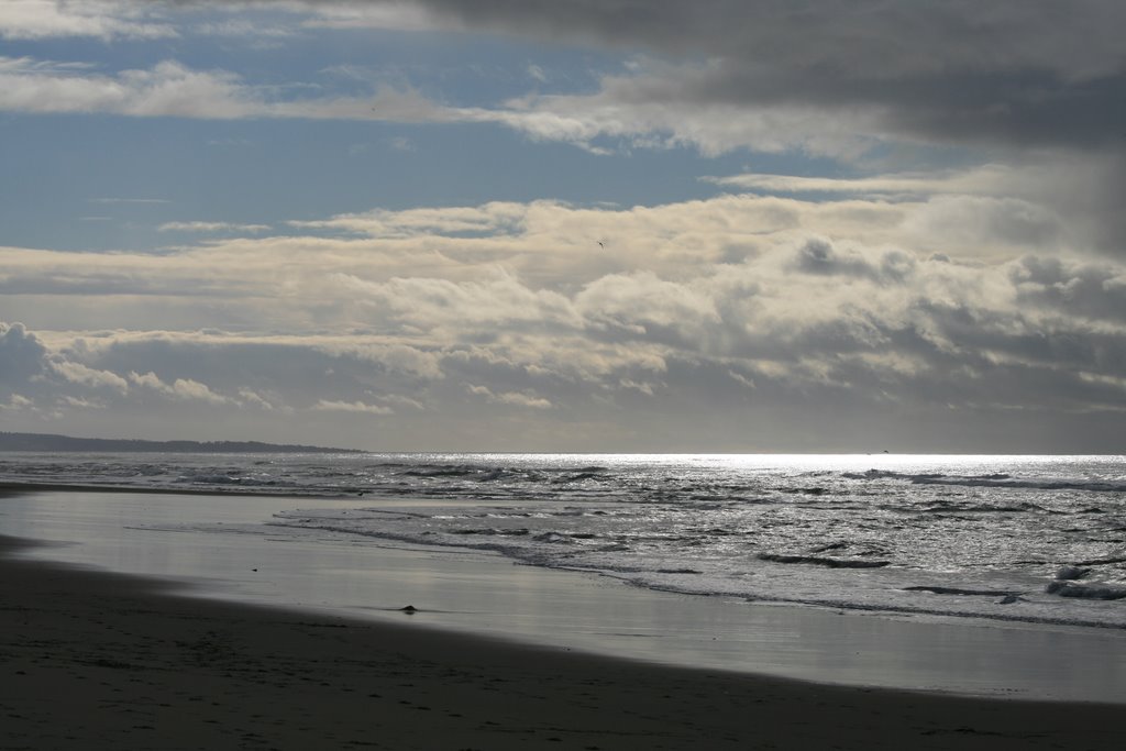 Moss Landing County Beach by grey3000