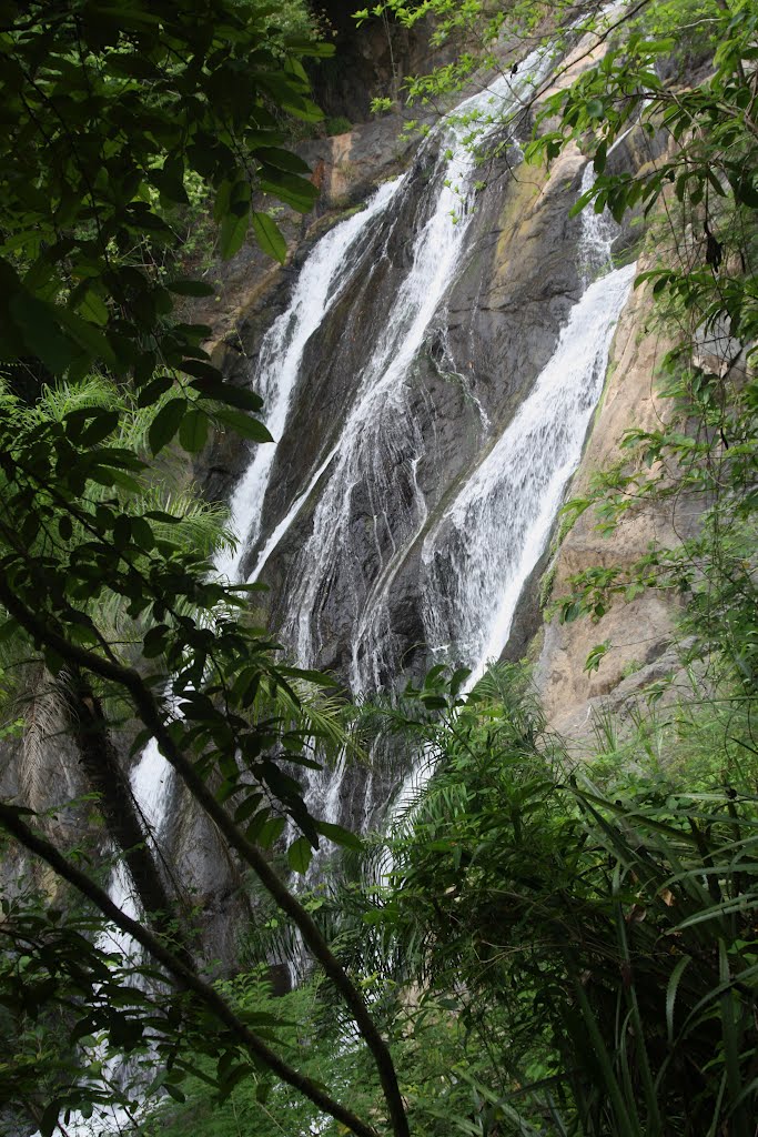 Cascada en los terrenos de la Hacienda Buena Vista-Ponce by Ricardo David Jusino