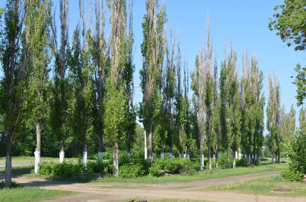 Russia. Yelets (72791613) by Viktor Bakhmutov