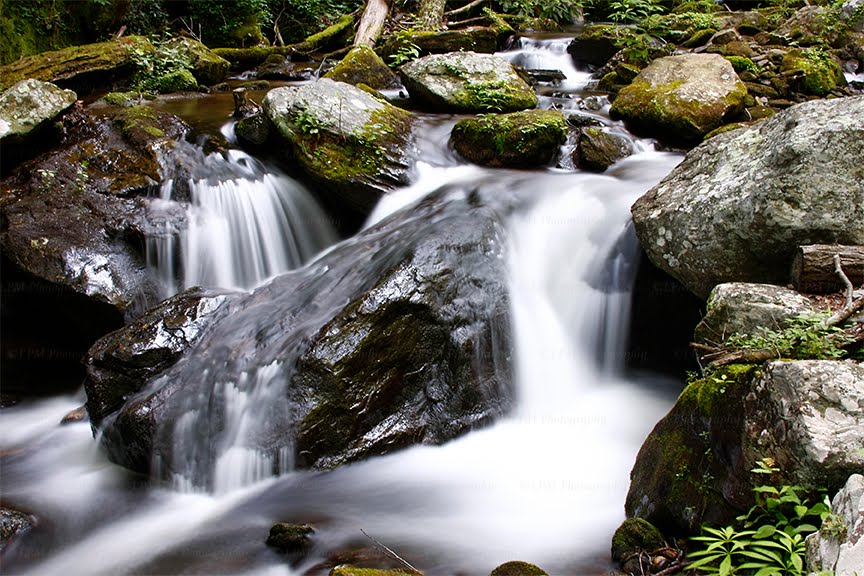 Silky Cascade (5702) [May 2012] by hilerm