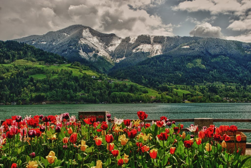 Oben weiss...unten Frühling...Zell am See, *White top ... below spring* by Goldfoto