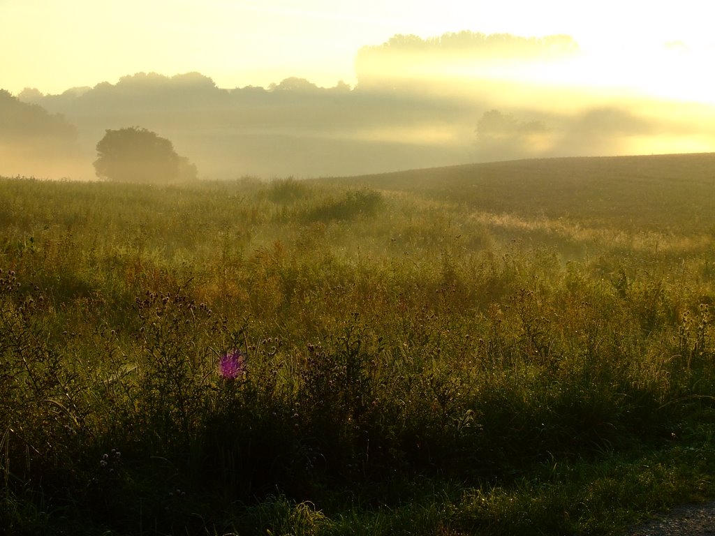 Ein Sommermorgen by RoMo-Märtero