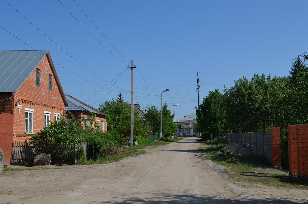 Russia. Yelets (72806597) by Viktor Bakhmutov