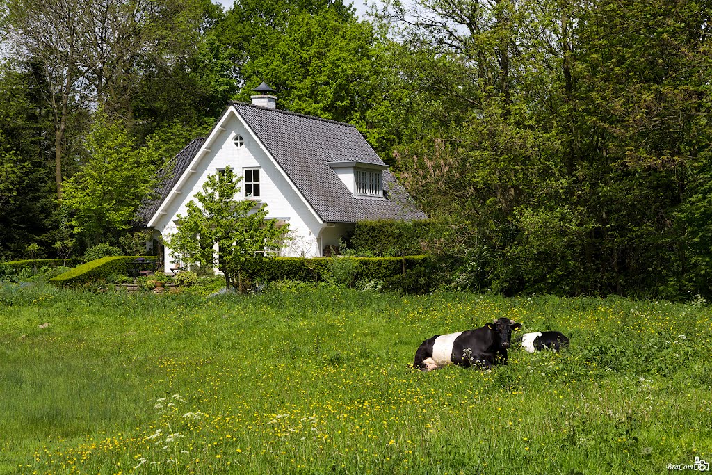 White house, Schuddebeurs by © BraCom (Bram)