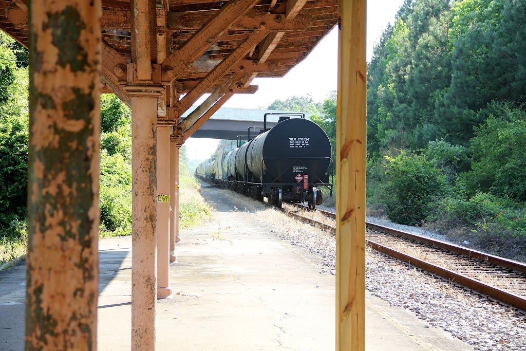 Camden SC Train Station by Ed McDyer