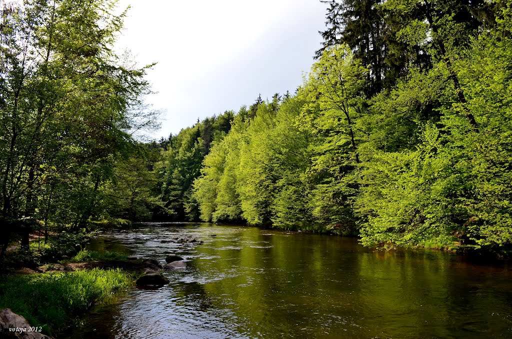 SOPOTNICE - údolí řeky "Divoká Orlice" / Valley river "Wild Eagle" by votoja - CZ