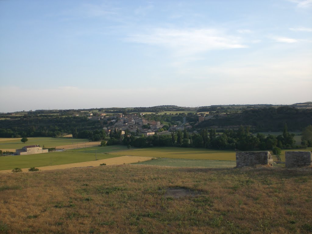 Castellnou d'Olugues des de Malgrat (maig 2012) by EliziR