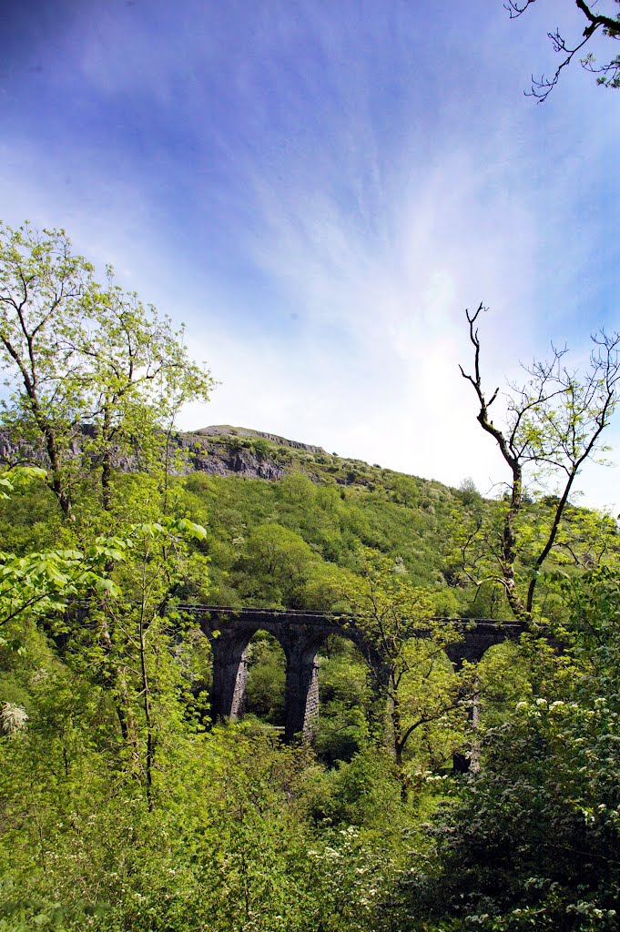 Ponstarn Viaduct by anthonyjames