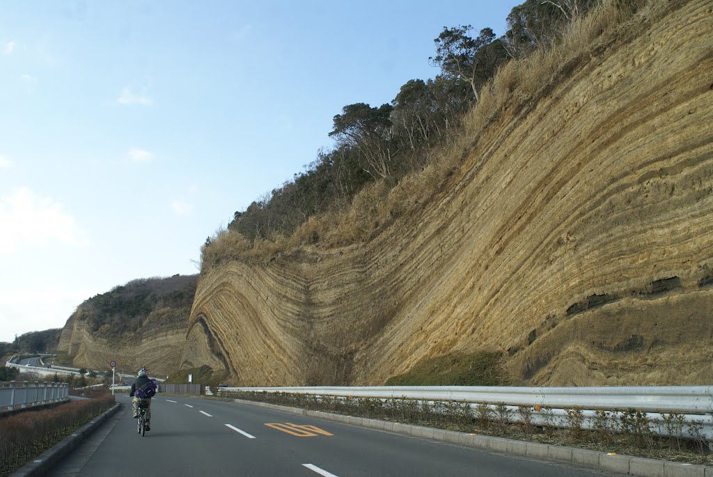 伊豆大島　バームクーヘン by noken