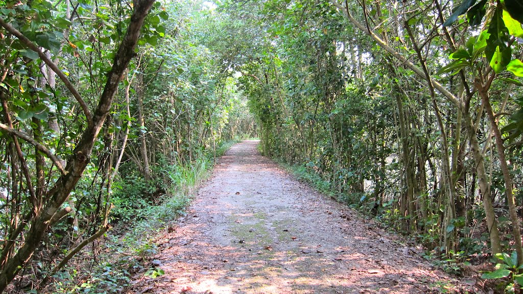 Sungei Bulah Wetland Park by Qingwu