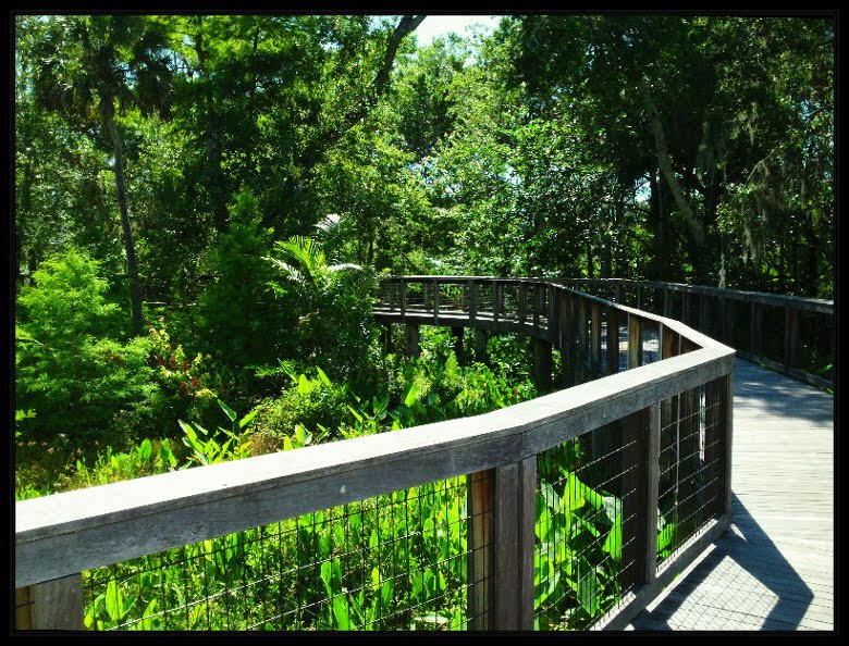 Bridge Through Freedom Memorial Park by CrypticCRICKET