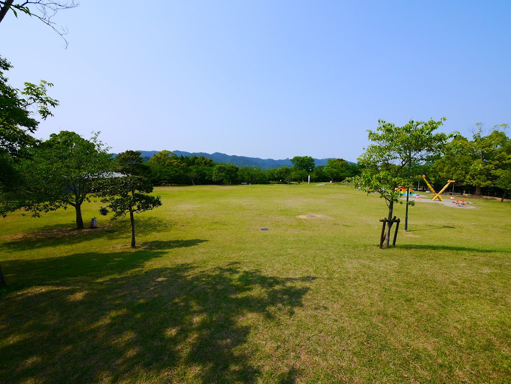 徳島県文化の森総合公園　知識の森　芝生広場 by folon X