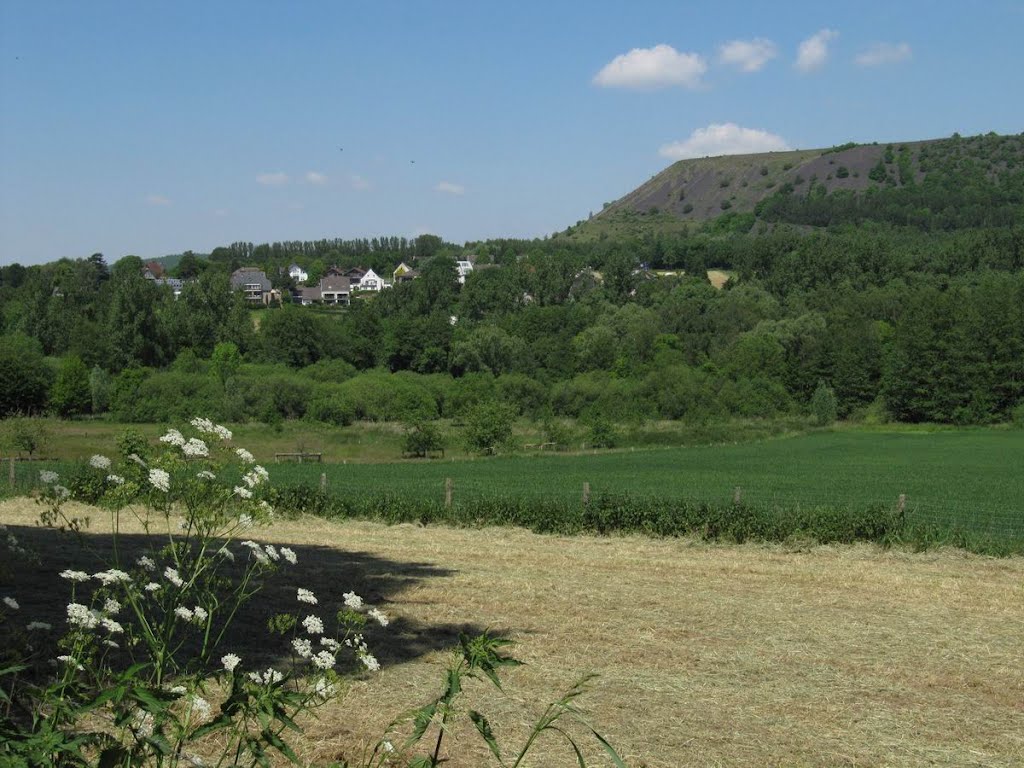 Noppenberg by Erik B.