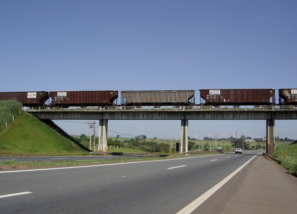 Rodovia Washington Luís, Santa Gertrudes/Rio Claro, SP, Brasil. by André Bonacin