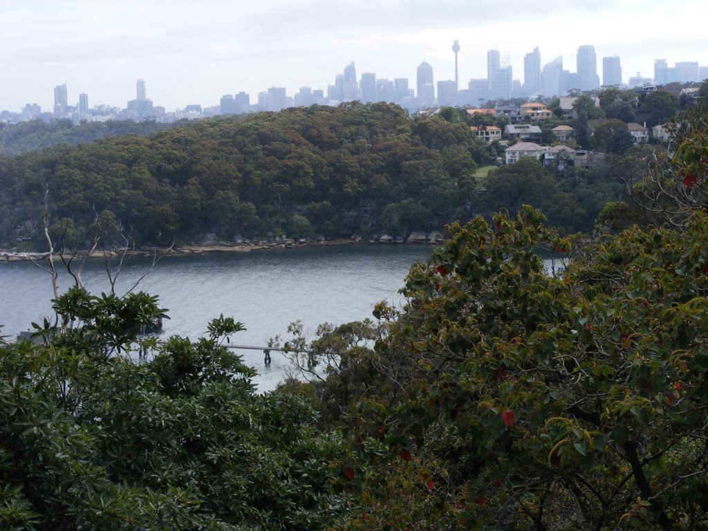 Overlooking Chowder Bay from Georges Head Battery by Adamjwc