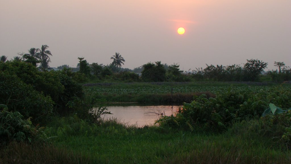 Trời chiều cuối năm by Nhựt Trịnh Minh