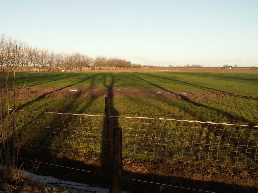 22-01-2008 Very long shadows(Bierum) by Tjeert.Mensinga ©